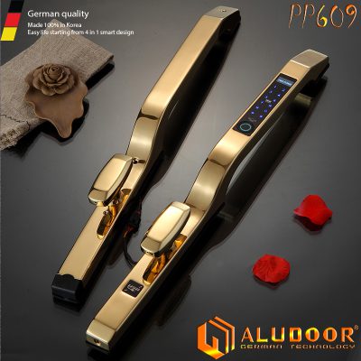 ALUDOOR PP609 1