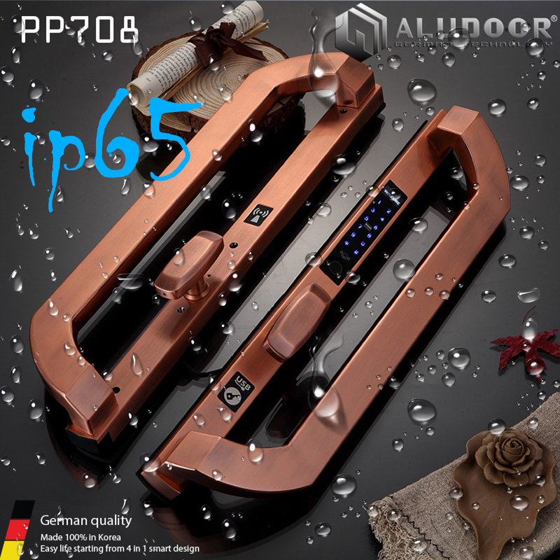 ALUDOOR PP708 IP65