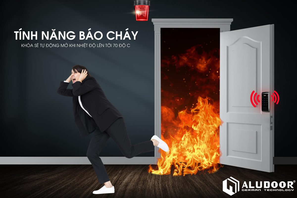 Bao chay